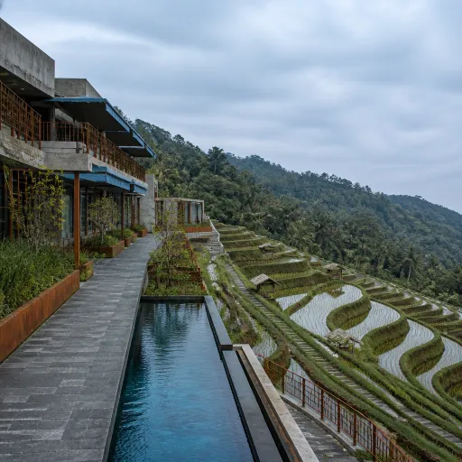 How to Choose a Bali Hotel Near the Most Beautiful Rice Terraces