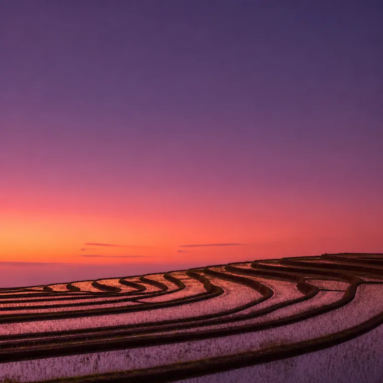 How Many Days Do You Need in Bali? Sample Itineraries from 3 to 14 Days